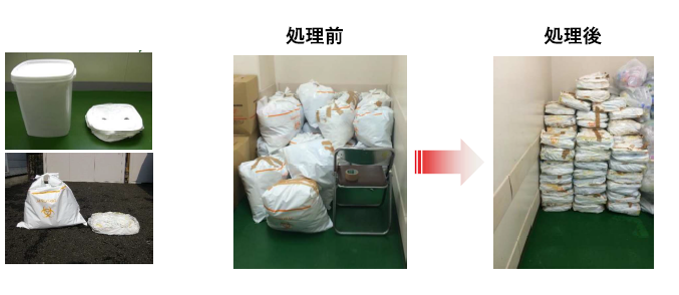 処理前・処理後
