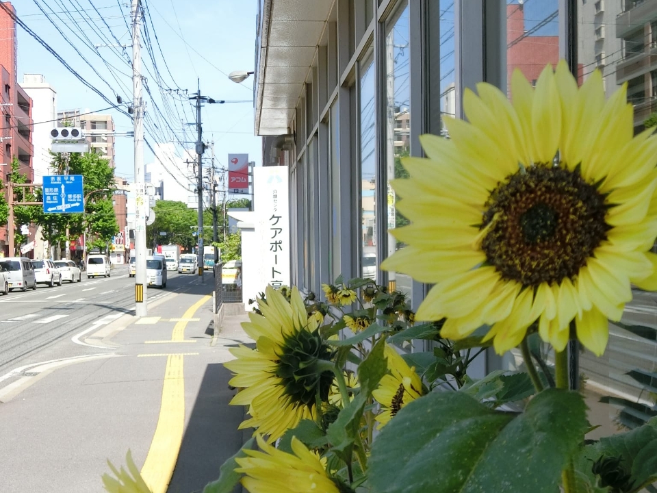 ケアポート高宮