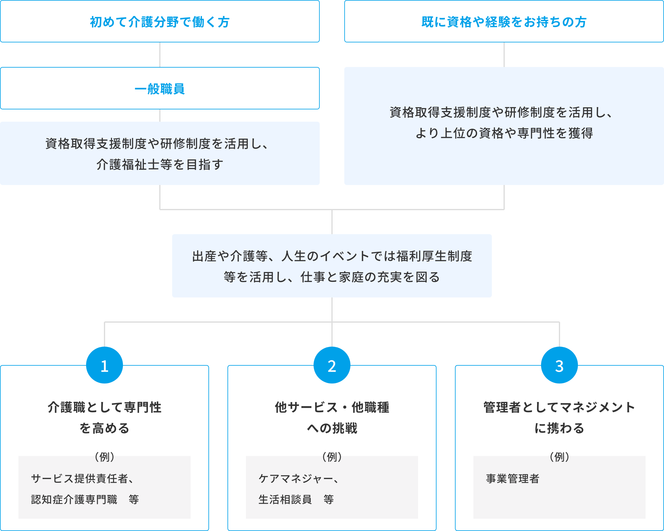 キャリアパス